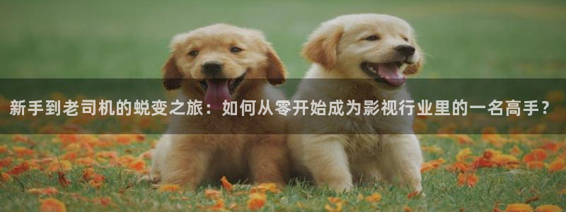倫理視頻日本：新手到老司機(jī)的蛻變之旅：如何從零開始成為影視行業(yè)里的一名高手？