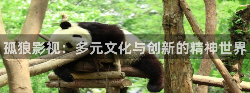 桔子倫理影院：孤狼影視：多元文化與創新的精神世界
