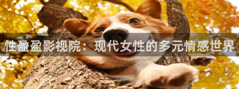 abc倫理影院：性盈盈影視院：現(xiàn)代女性的多元情感世界